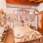L'infiorescenza New 3*
