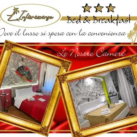 L'infiorescenza New Bed and Breakfast