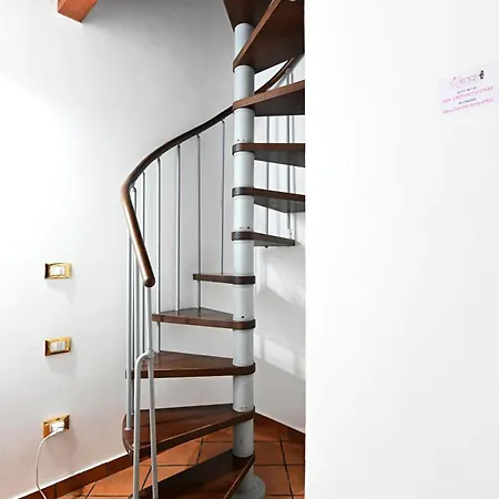 L'infiorescenza New 3* Syracuse