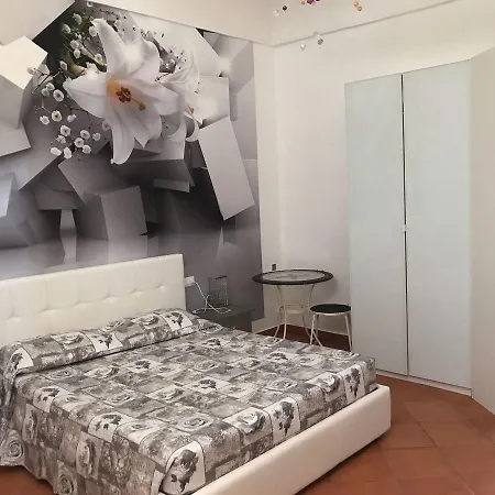 L'infiorescenza New 3* Syracuse