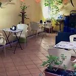 L'infiorescenza New 3*
