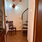 L'infiorescenza New Siraküza