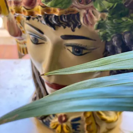 L'infiorescenza New Bed & Breakfast Syracuse