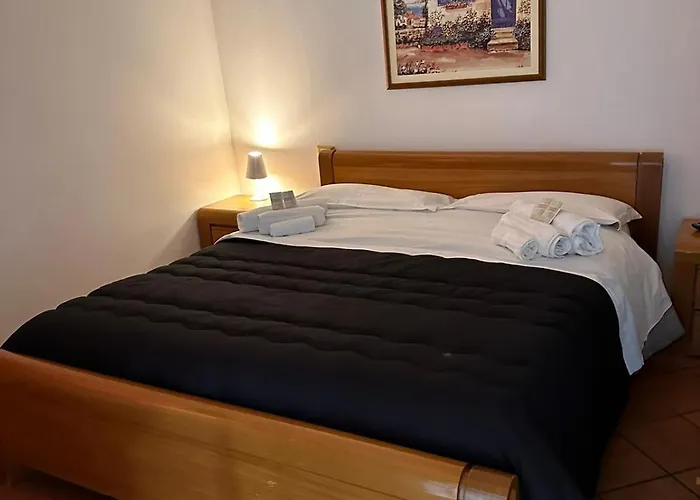 L'infiorescenza New Nocleg ze śniadaniem