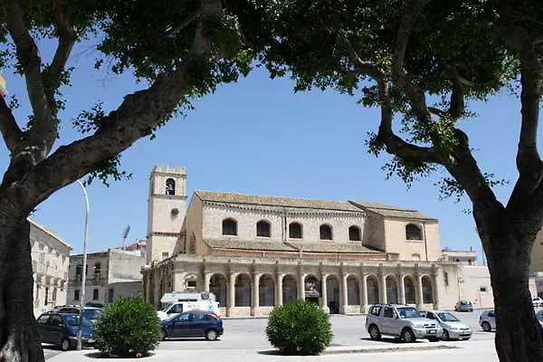 L'infiorescenza New