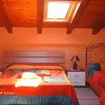 L'infiorescenza New 3*